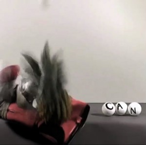 ECAL-workshop-2010-Thomas-Traum-Pass-the-XYZ-6
