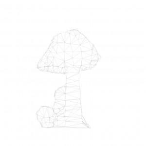 001-mushroom-1