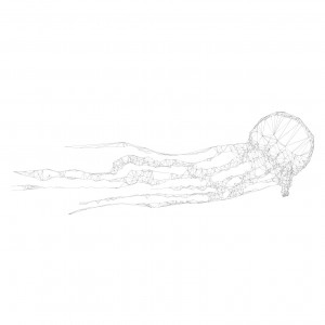 003-jellyfish-1