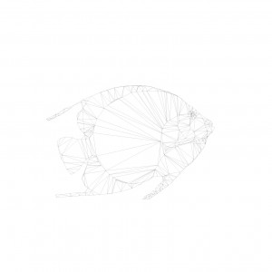 005-fish-2